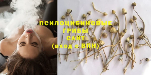 тгк Алзамай
