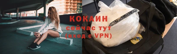 тгк Алзамай